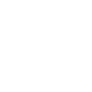 Forgelite