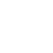 iPE