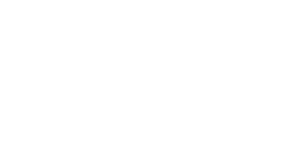 MagnaFlow